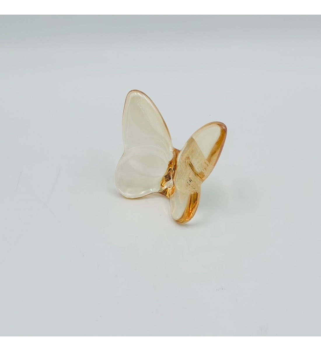 فراشة زجاج لون ذهبي 