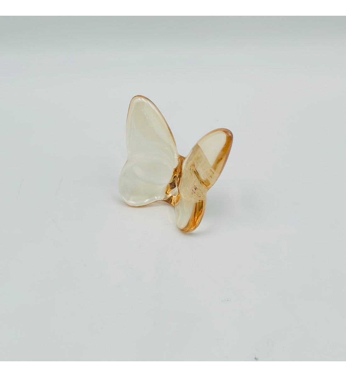 فراشة زجاج لون ذهبي 