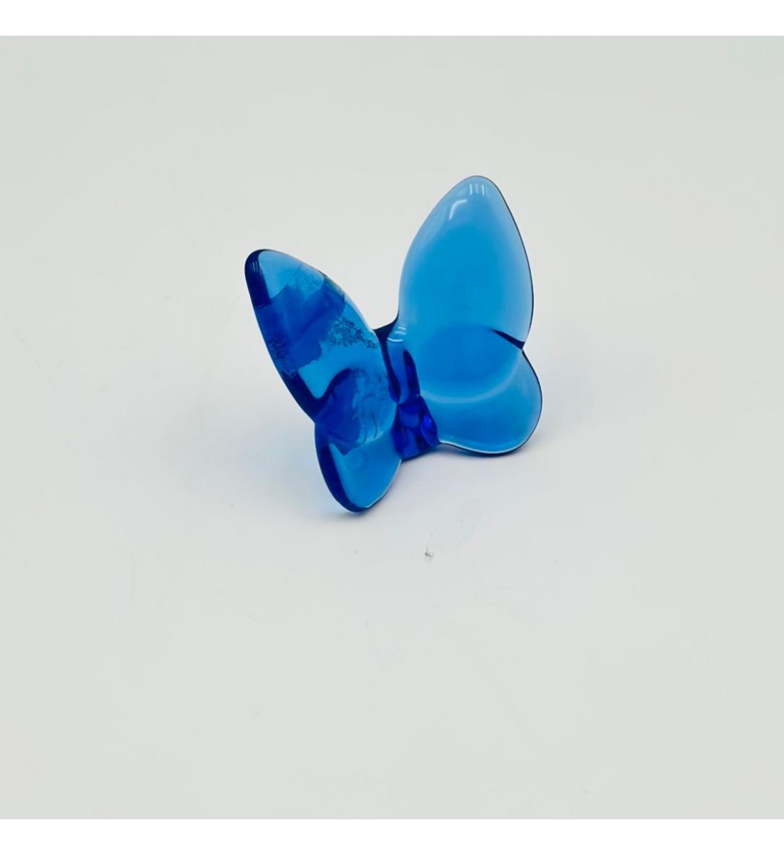 فراشة زجاج لون ازرق