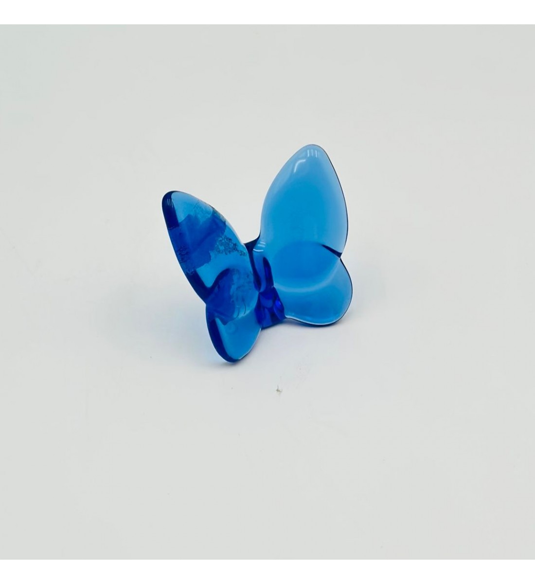 فراشة زجاج لون ازرق