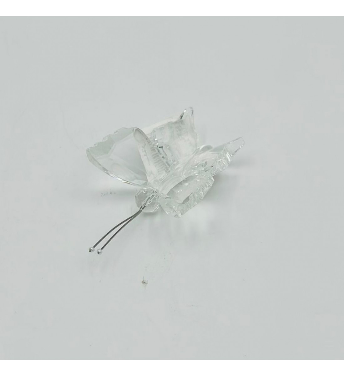 فراشة زجاج لون شفاف 