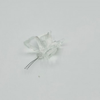 فراشة زجاج لون شفاف 