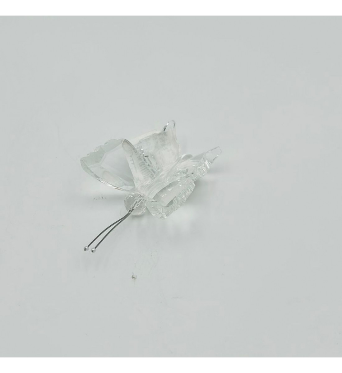 فراشة زجاج لون شفاف 