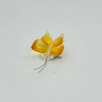 فراشة زجاج لون عسلي 