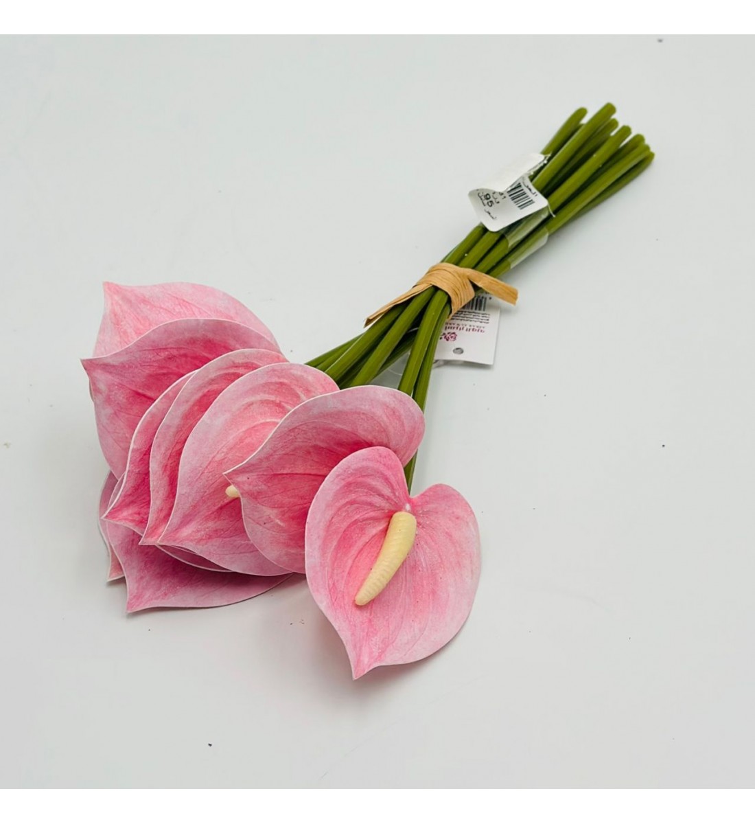 ورد انثريوم بيبي