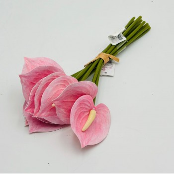 ورد انثريوم بيبي