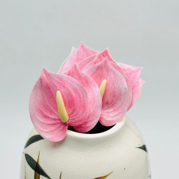 ورد انثريوم بيبي