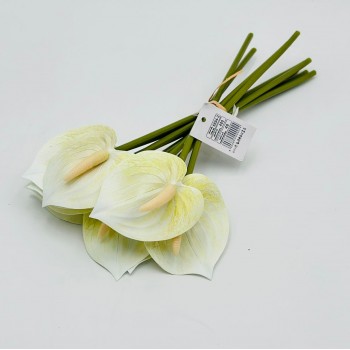 ورد انثريوم بيبي