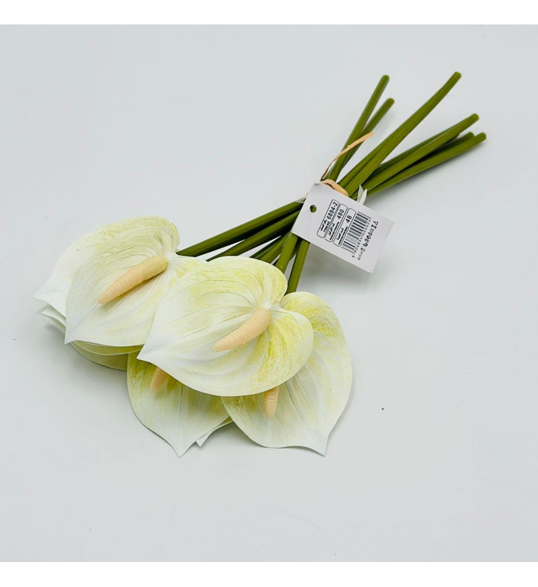 ورد انثريوم بيبي