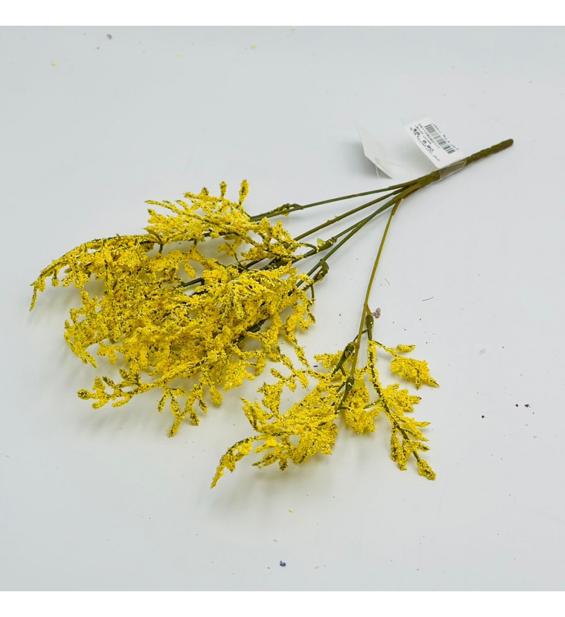 غصن نبتة شيح مكنسي