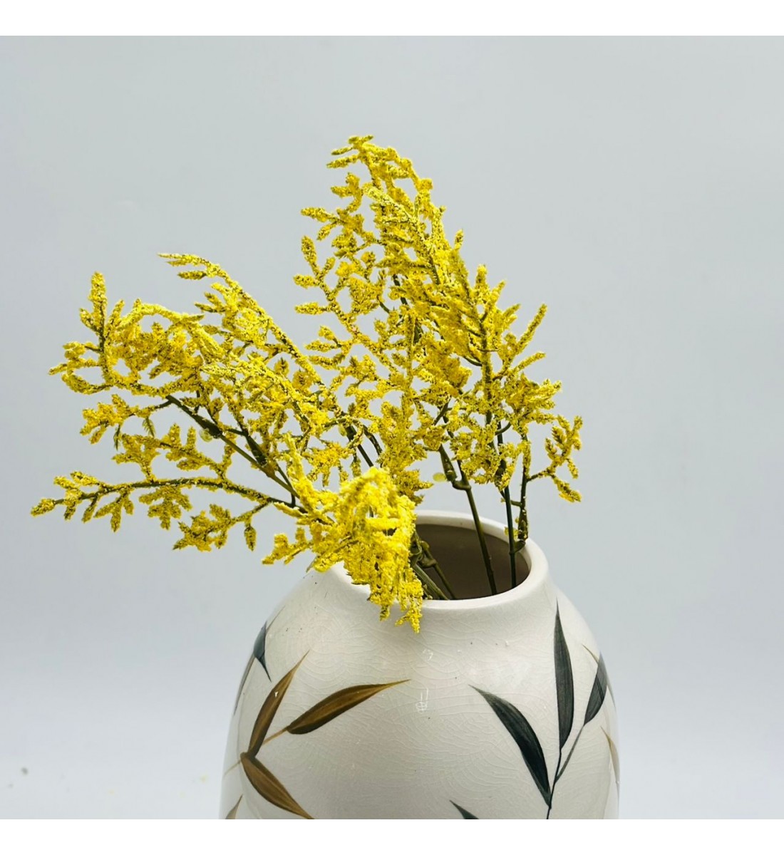 غصن نبتة شيح مكنسي