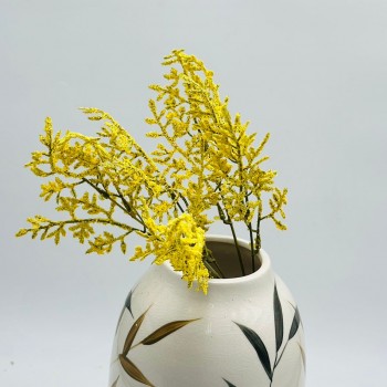 غصن نبتة شيح مكنسي