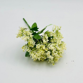 ورد تنسيق جبوسوفيليا