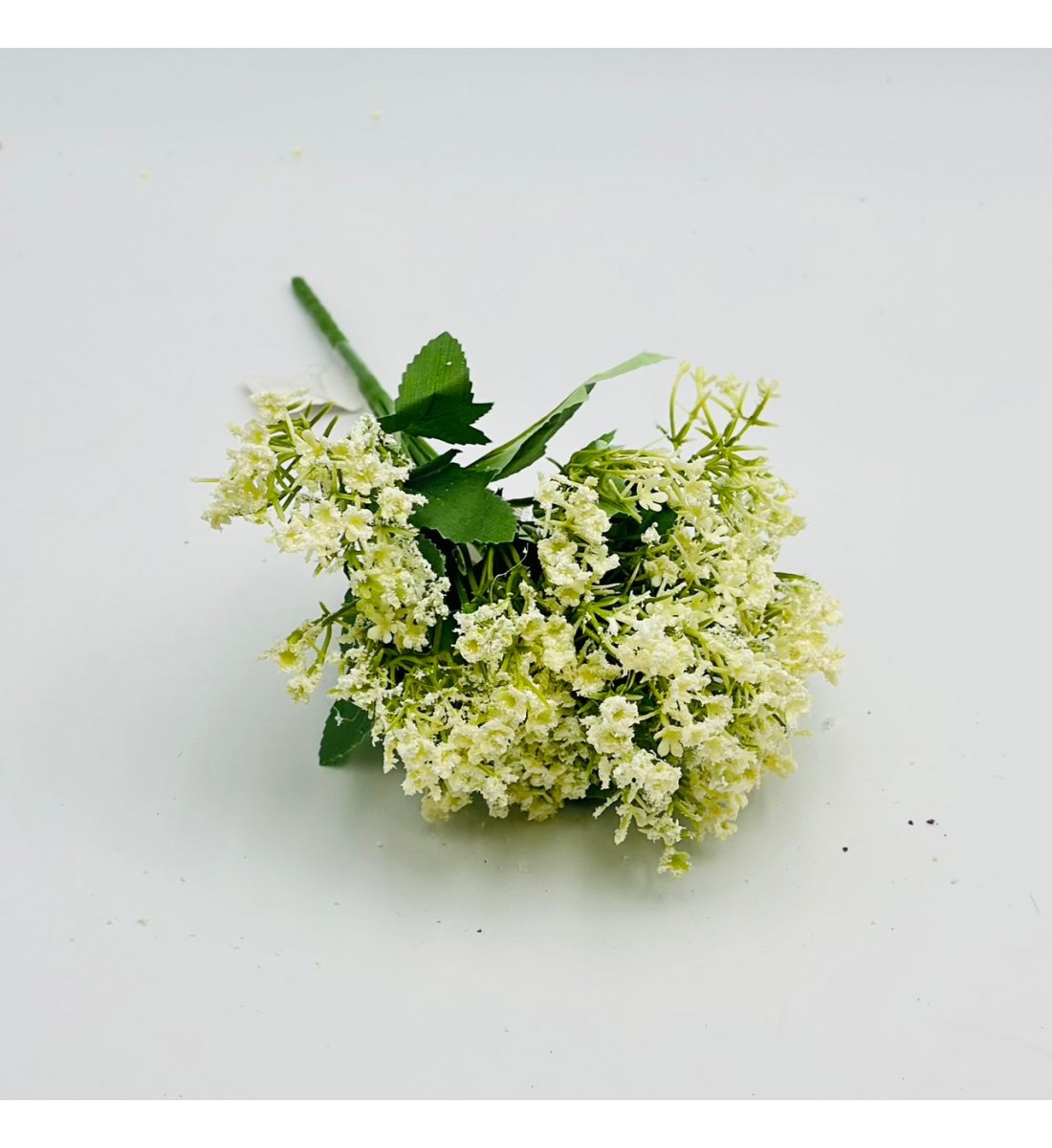 ورد تنسيق جبوسوفيليا