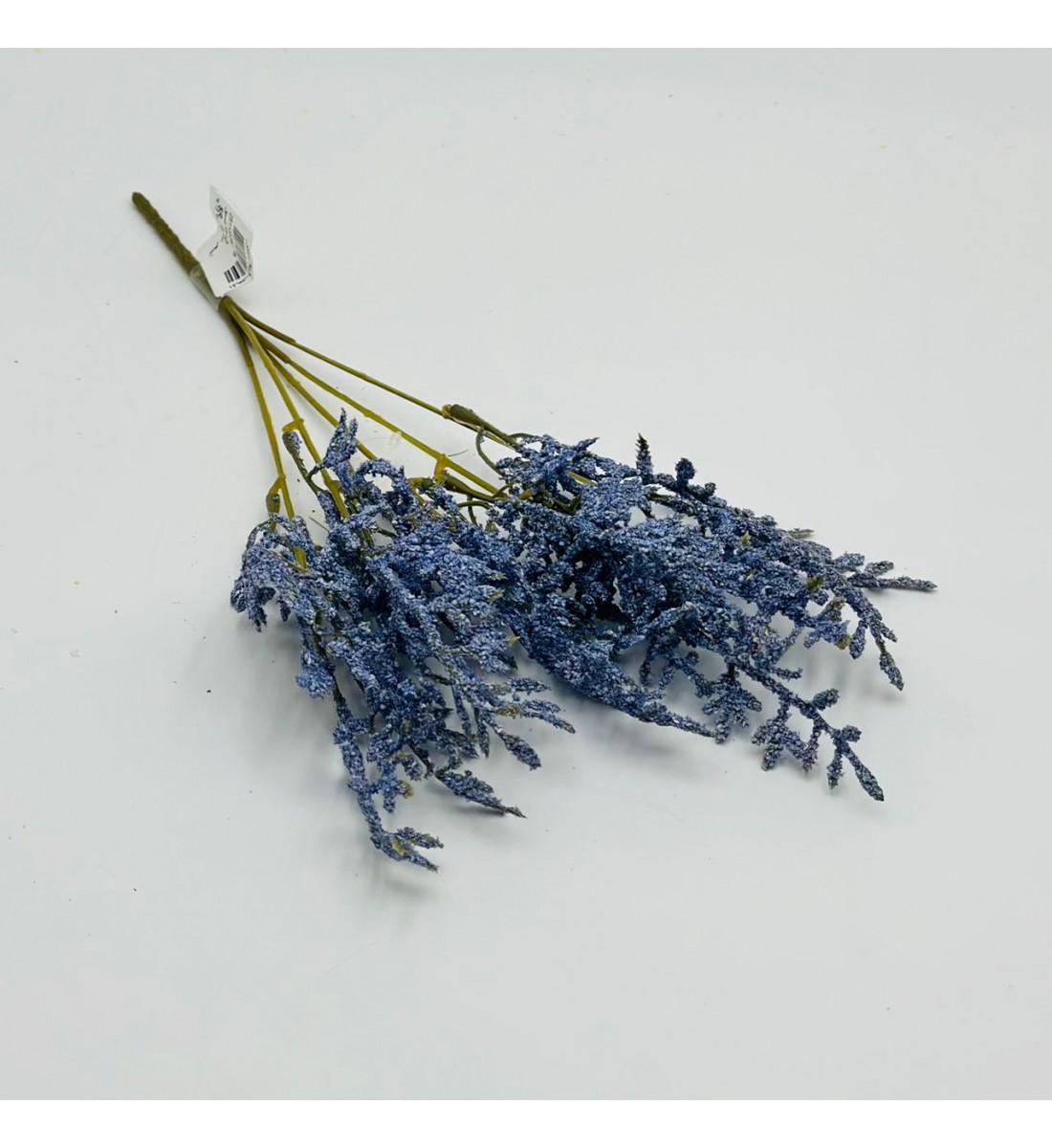 غصن نبتة شيح مكنسي