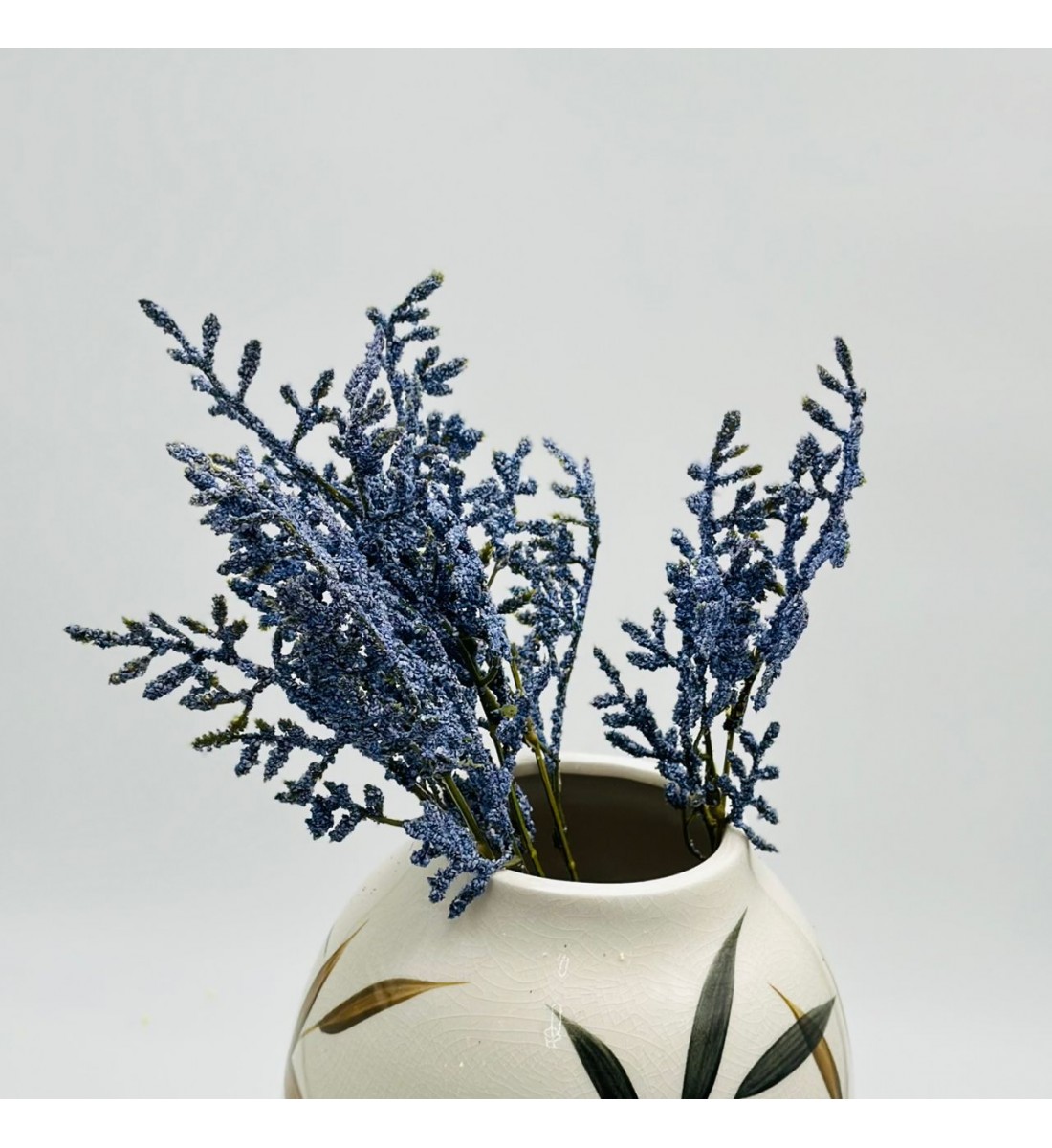 غصن نبتة شيح مكنسي