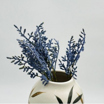 غصن نبتة شيح مكنسي