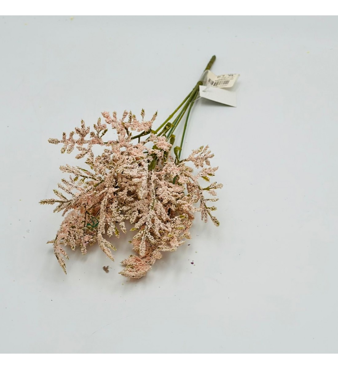 غصن نبتة شيح مكنسي