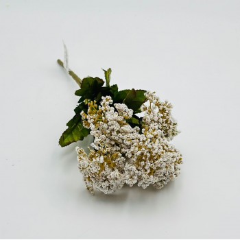 ورد اكسسوار بنش 