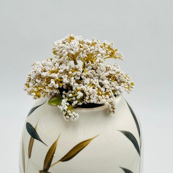 ورد اكسسوار بنش 