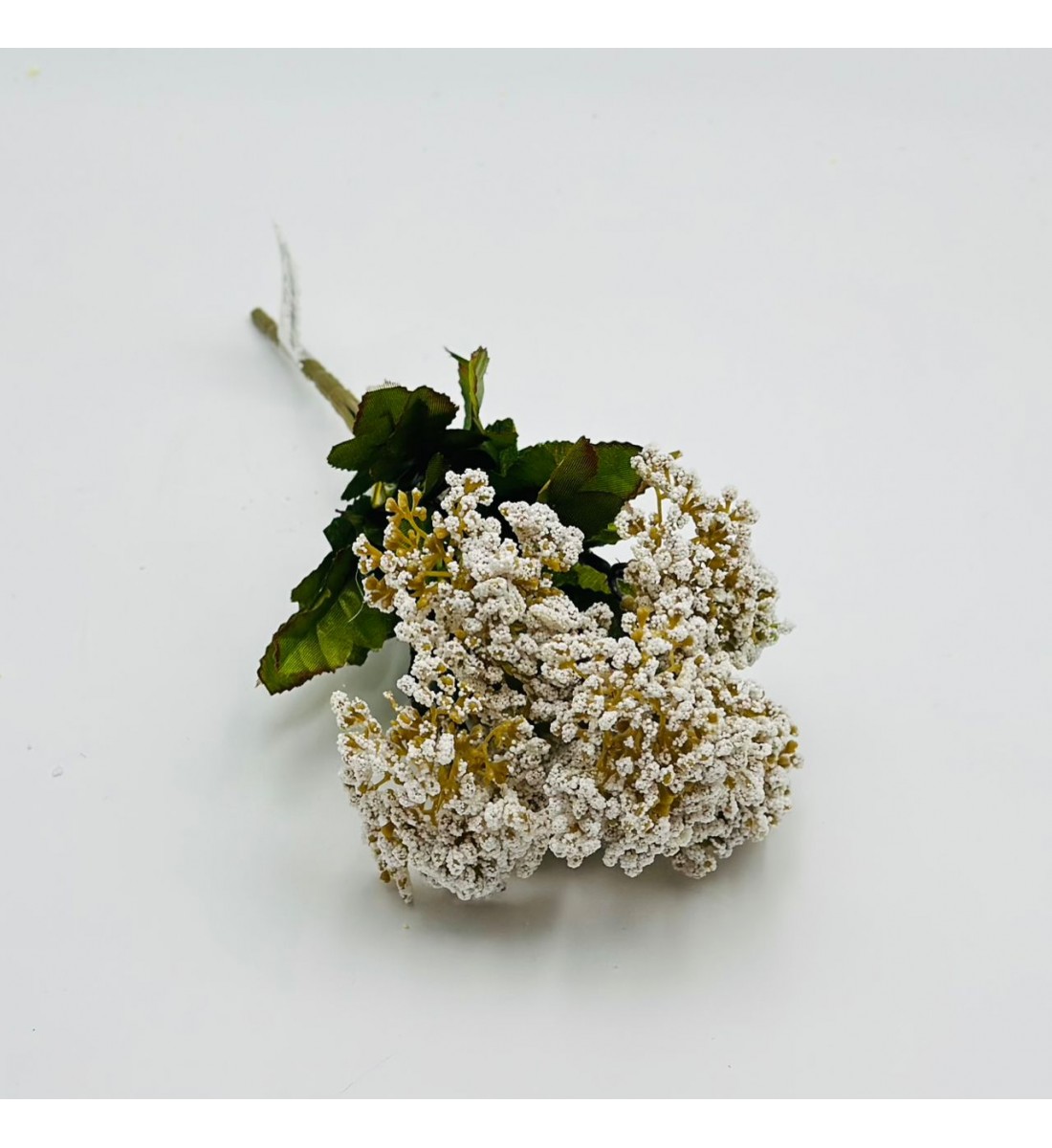 ورد اكسسوار بنش 