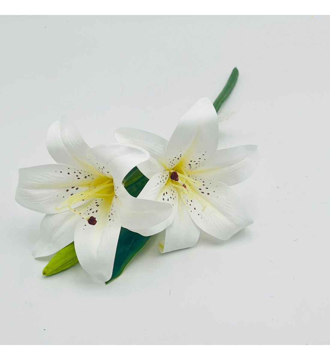 غصن بتنسيق لليوم 