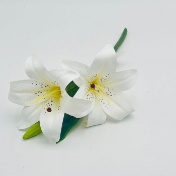 غصن بتنسيق لليوم 