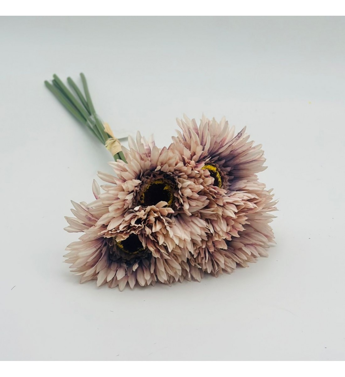 ورد تنسيق جربيرا 