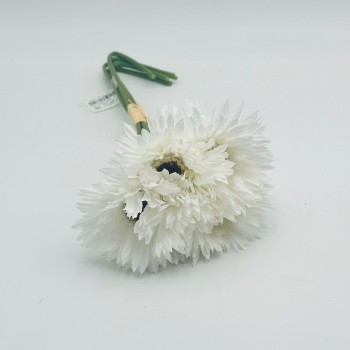 ورد تنسيق جربيرا 