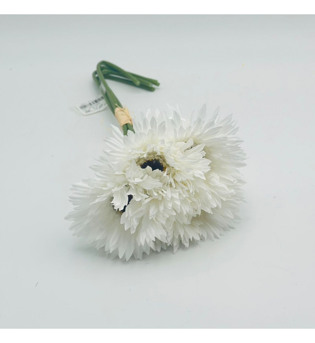 ورد تنسيق جربيرا 