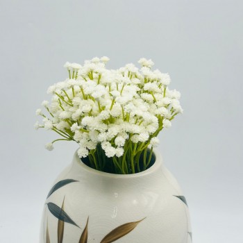 جبسلفية غبار ورد 