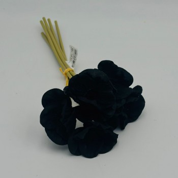 ورد بوبي اسود