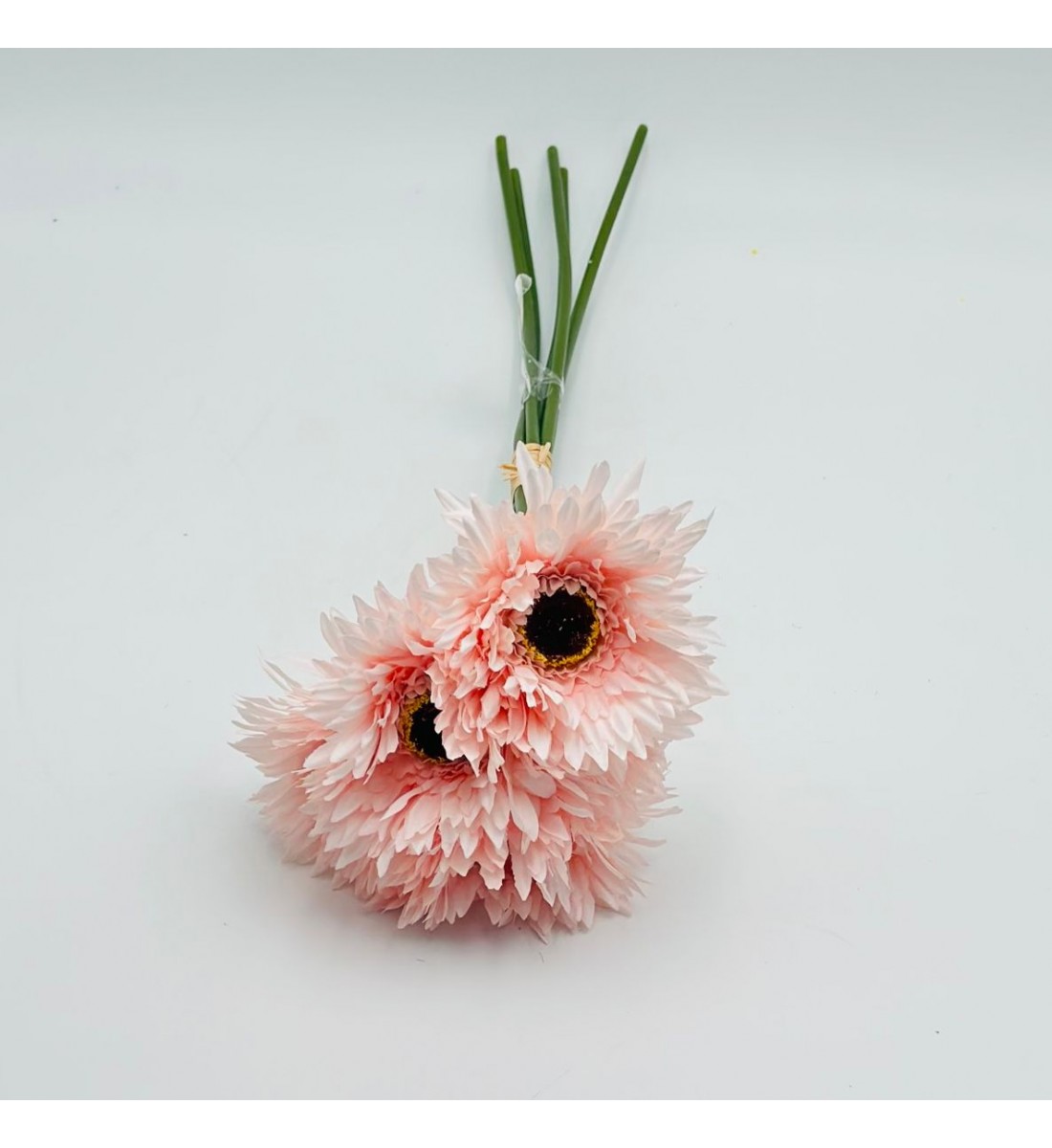 ورد تنسيق جربيرا 