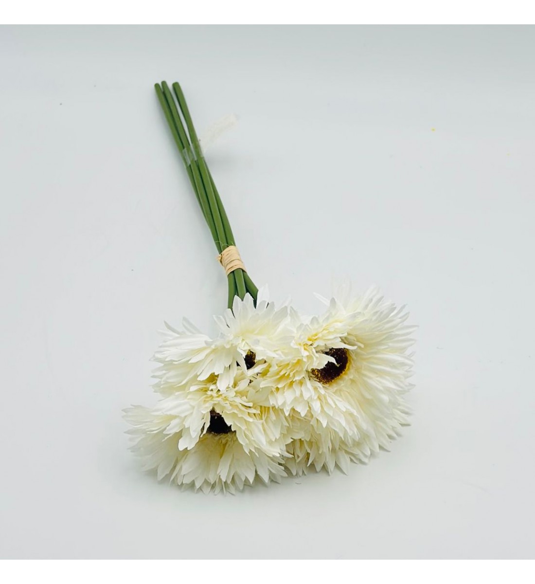 ورد تنسيق جربيرا 