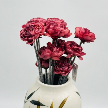 ورد تنسيق بيوني 