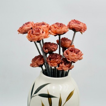 ورد تنسيق بيوني 