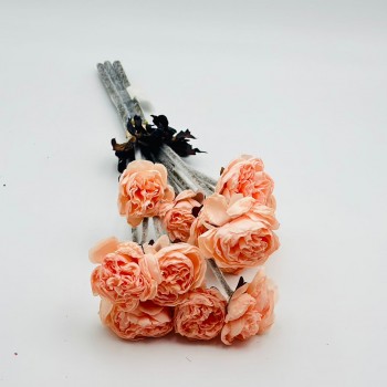 ورد تنسيق بيوني 