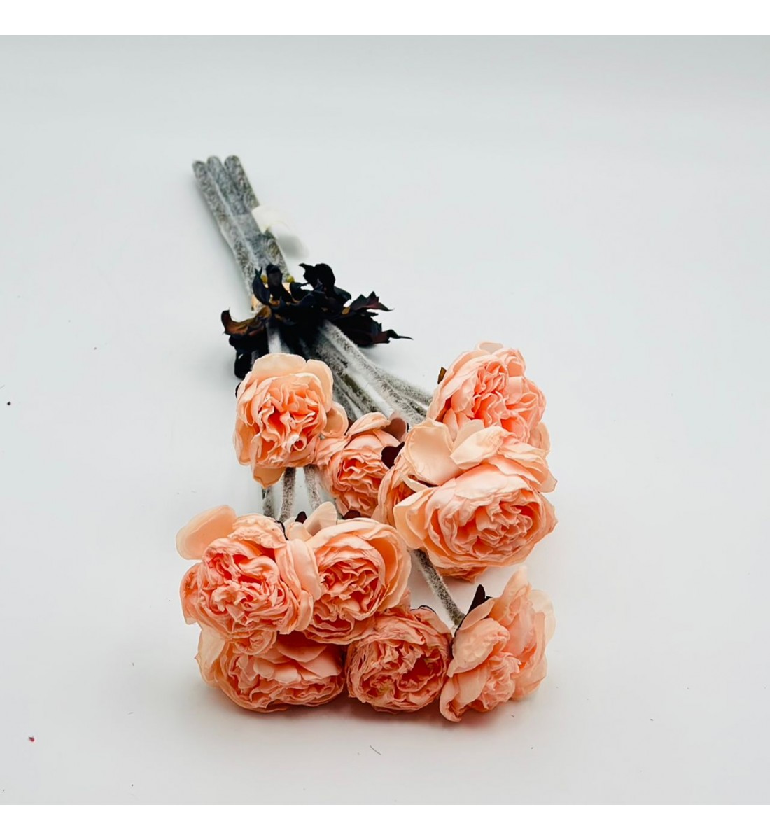 ورد تنسيق بيوني 