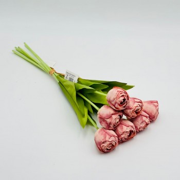 ورد تنسيق توليب