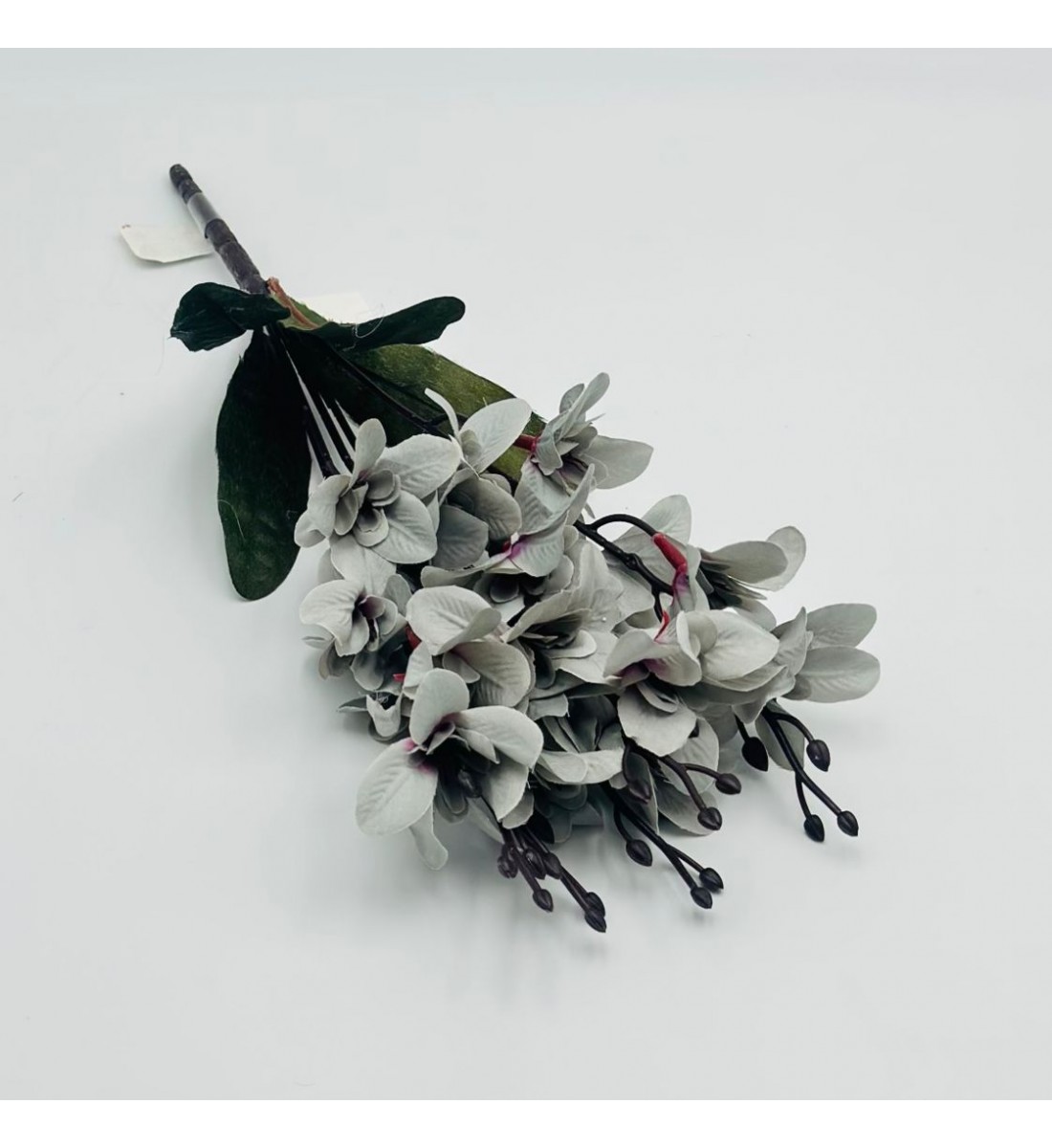 شتلة ورد رمادي