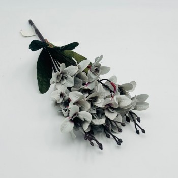 شتلة ورد رمادي