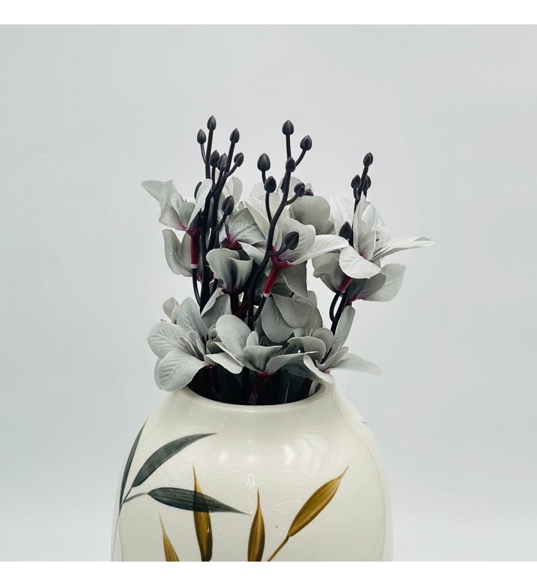 شتلة ورد رمادي