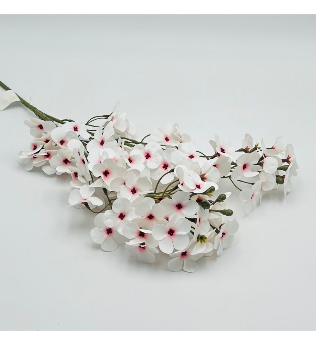 ورد تنسيق ياسمين