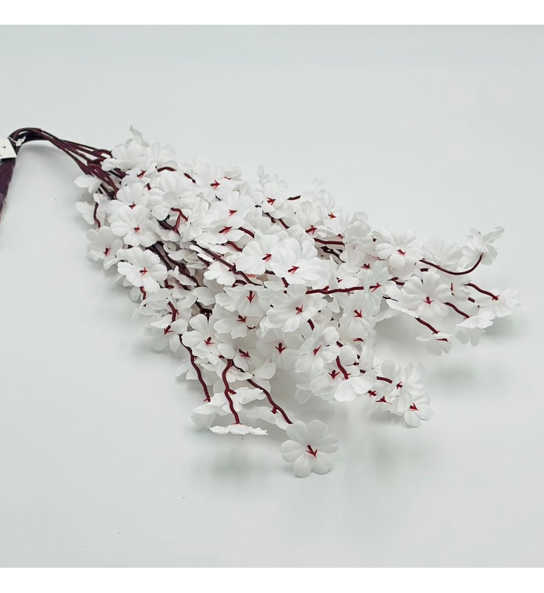 ورد تنسيق زهرة الربيع