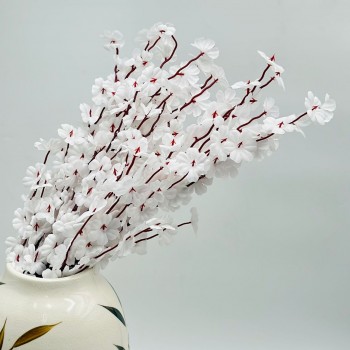 ورد تنسيق زهرة الربيع