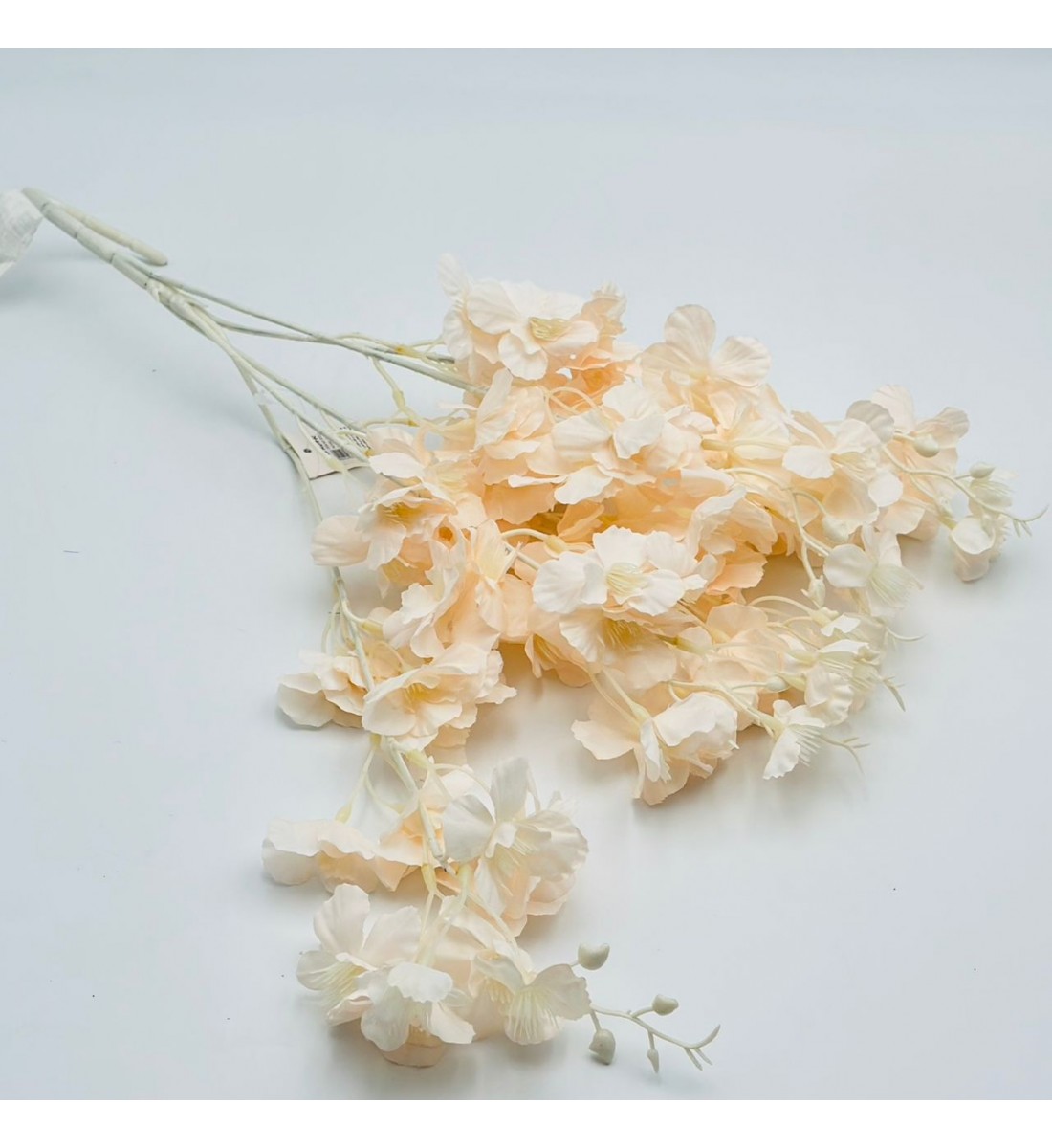 ورد تنسيق زهرة الربيع