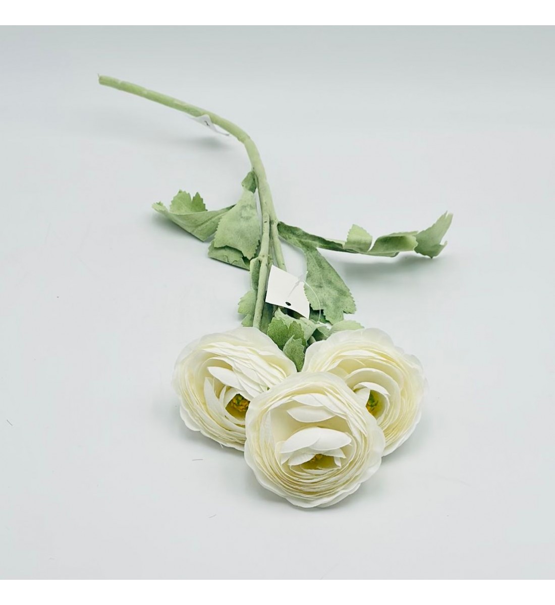 ورد تنسيق بيوني