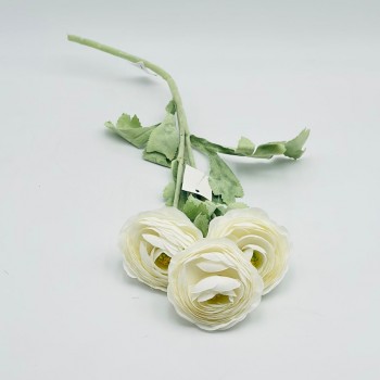 ورد تنسيق بيوني