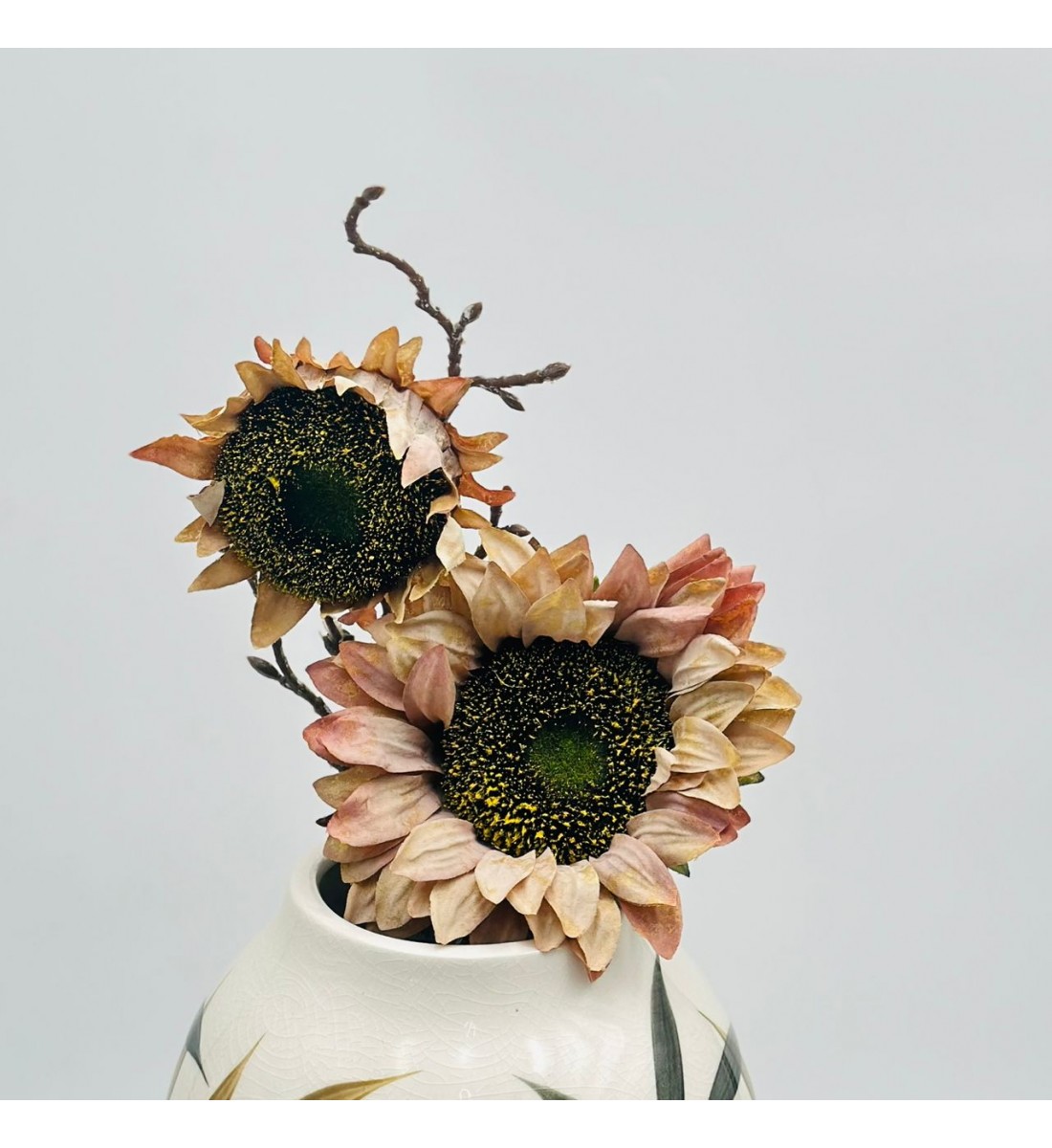 غصن تباع الشمس