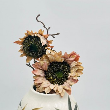 غصن تباع الشمس